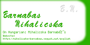 barnabas mihalicska business card